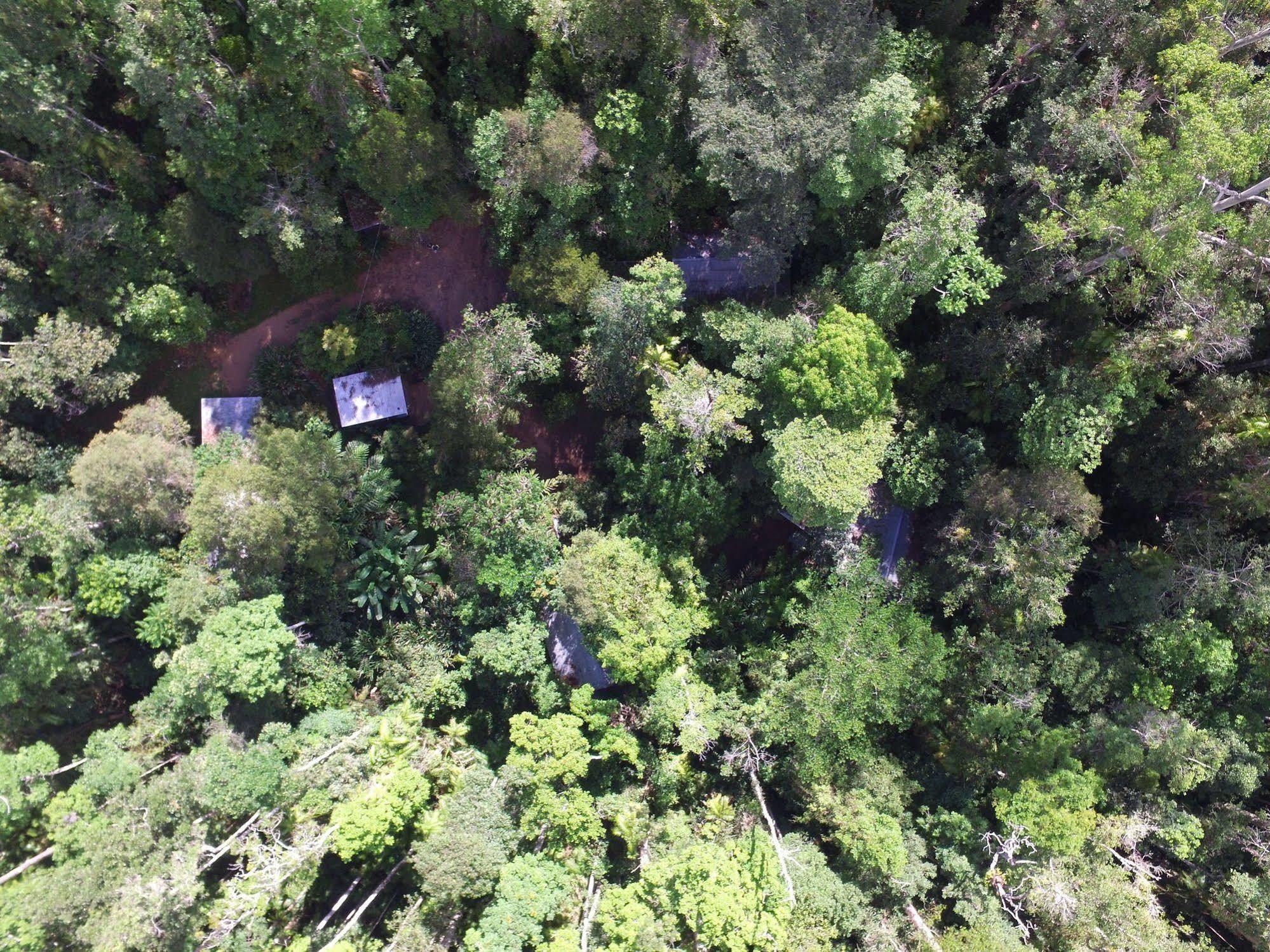 Crater Lakes Rainforest Cottages Юнгаберра Экстерьер фото